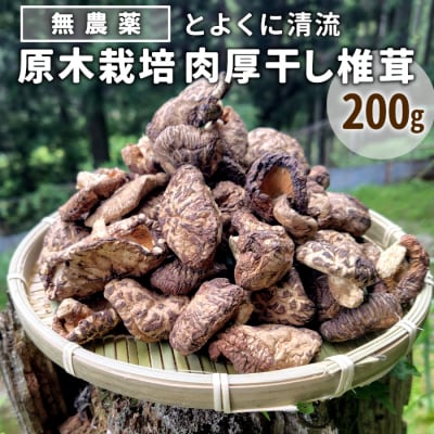 栽培期間中農薬不使用 原木栽培 肉厚 とよくに清流 ほししいたけ 200g 椎茸