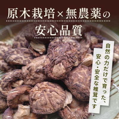 栽培期間中農薬不使用 原木栽培 肉厚 とよくに清流 ほししいたけ 200g 椎茸