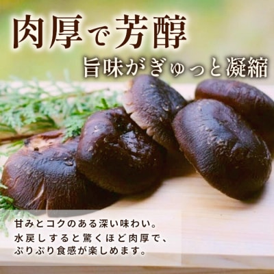 栽培期間中農薬不使用 原木栽培 肉厚 とよくに清流 ほししいたけ 200g 椎茸