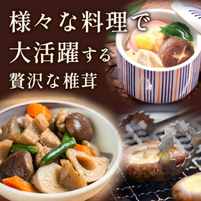 栽培期間中農薬不使用 原木栽培 肉厚 とよくに清流 ほししいたけ 200g 椎茸