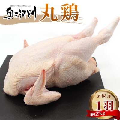 中抜き 焼くだけ 奥三河どり 丸鶏 1羽 (約2kg) 国産 鳥 チキン 