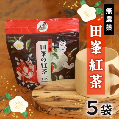 栽培期間中農薬不使用! 田峯紅茶 5袋セット 紅茶 アイスティー ホット アイス お茶