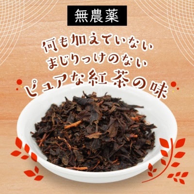 栽培期間中農薬不使用! 田峯紅茶 5袋セット 紅茶 アイスティー ホット アイス お茶