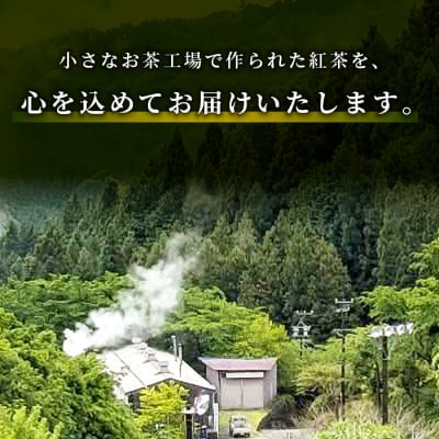 栽培期間中農薬不使用! 田峯紅茶 5袋セット 紅茶 アイスティー ホット アイス お茶