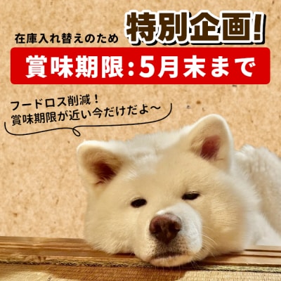特別企画! 無添加 無着色 国産 鹿肉ジャーキー 100g ペット 犬 犬用 おやつ ペットフード 
