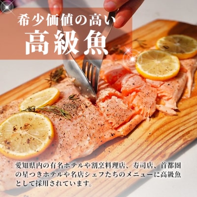 国産 無添加 生食可 絹姫サーモン 冷凍フィーレ 1枚 (300g～400g) 鮭 トラウトサーモン