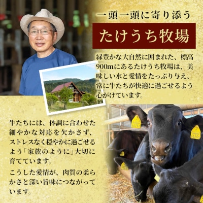 国産牛 段戸山高原牛 ホルモンミックス 400g (100g×4パック) もつ鍋 焼肉用 BBQ