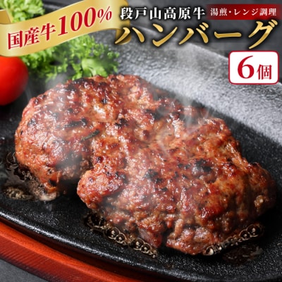 国産 牛肉 100% 段戸山高原牛 ハンバーグ6個(100g×6)加熱済み タレ無し 