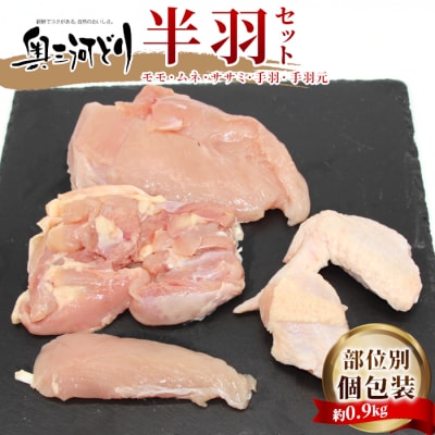 国産 奥三河どり 半羽 小分け 約 0.9kg 鶏肉セット チキン BBQ アウトドア