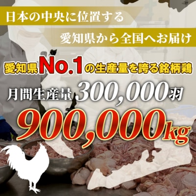 国産 奥三河どり 半羽 小分け 約 0.9kg 鶏肉セット チキン BBQ アウトドア