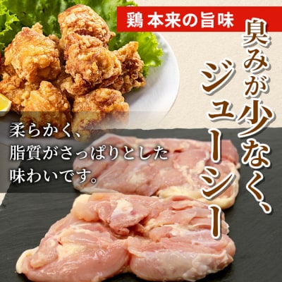 国産 奥三河どり 半羽 小分け 約 0.9kg 鶏肉セット チキン BBQ アウトドア