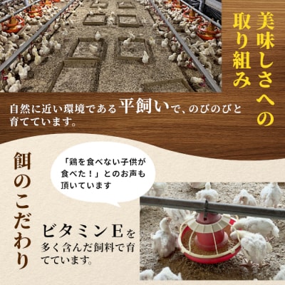 国産 奥三河どり 1羽分 (約1.5kg～1.8kg) チキン BBQ アウトドア 愛知県産