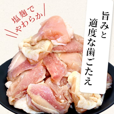 田口塩鶏 国産 味付け せせり塩だれ 400g 味付け肉 鶏肉 BBQ 焼くだけ