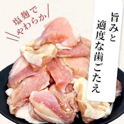 田口塩鶏 国産 味付け せせり 塩だれ 800g 鶏肉 キャンプ BBQ 焼くだけ