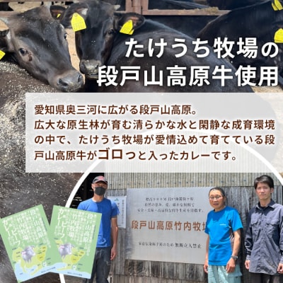 農園レストランで大人気 国産 段戸山牛のビーフシチュー 2人前 牛肉 レトルト シチュー