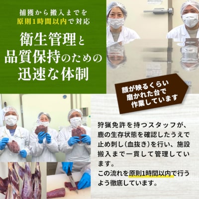 国産 無添加 鹿肉 ミンチ 500g (250g×2) 奥三河産 肉 鹿 シカ肉 ひき肉 ジビエ