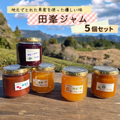 田峯手作りジャム 5個セット アソート ジャム スイーツ 加工品 デザート パン