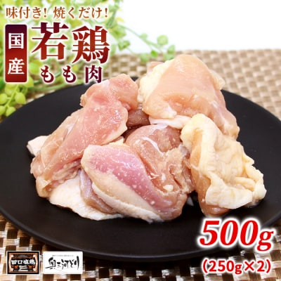 田口塩鶏 国産 味付け もも肉 500g (250g×2) 鶏肉 味付け肉 奥三河鶏 BBQ