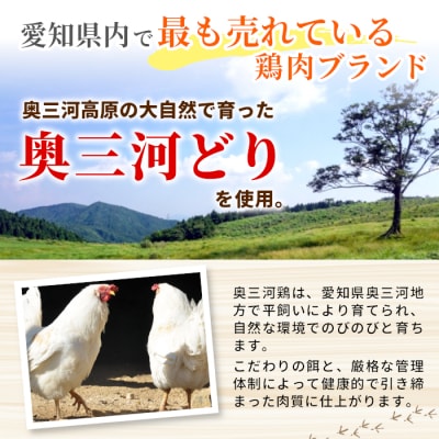 田口塩鶏 国産 味付け もも肉 500g (250g×2) 鶏肉 味付け肉 奥三河鶏 BBQ