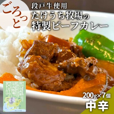 国産牛 特性ビーフカレー 7個 ご当地カレー レトルト 牛肉 牛 煮込み