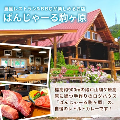国産牛 特性ビーフカレー 7個 ご当地カレー レトルト 牛肉 牛 煮込み