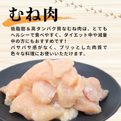 田口塩鶏 国産 若鶏 味付け むね肉 500g(250g×2) 塩だれ ムネ肉 鶏肉 バーベキュー