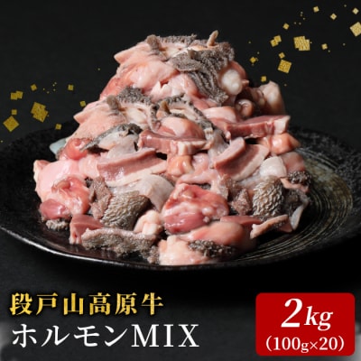 国産牛 段戸山高原牛 ホルモンミックス 2kg(100g×20パック) もつ鍋 焼き肉用 BBQ