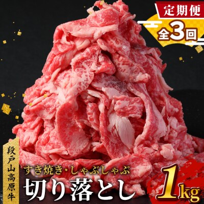 【定期便 全3回】国産 段戸山高原牛 切り落とし 計3回(1kg×3回)牛 牛肉 