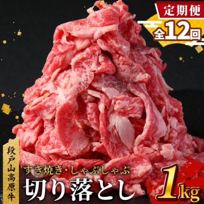 【定期便 全12回】国産 段戸山高原牛 切り落とし 計12kg (1kg×12回) 牛 牛肉