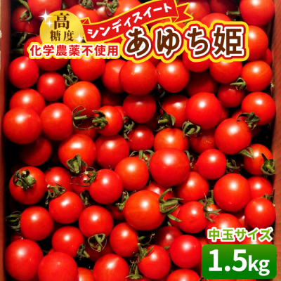 栽培期間中農薬不使用 中玉トマト シンディースイート あゆち姫 1.5kg ミニトマト とまと