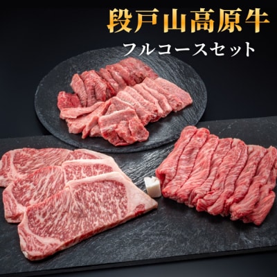 国産 段戸山高原牛 フルコースセット 牛 牛肉 ステーキ 焼肉 すき焼き しゃぶしゃぶ