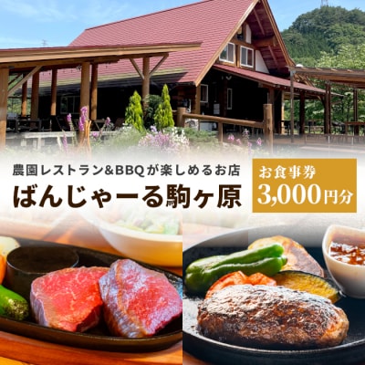 農園レストラン&BBQが楽しめる ログハウス ばんじゃーる駒ヶ原 お食事券 3000円 利用券