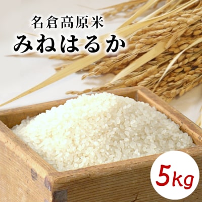 令和7年度産 名倉高原米「みねはるか」5kg 米 お米 白米 ごはん