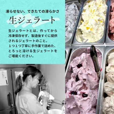 生ジェラート アソート 6個 Dセット (トマトソルベ・ミルク・ほうじ茶) アイス デザート