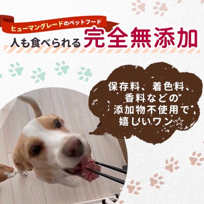 《周年祭!》国産鹿肉100%使用! 無添加 犬用 鹿水煮 2缶 ペットフード 犬 猫 鹿 シカ