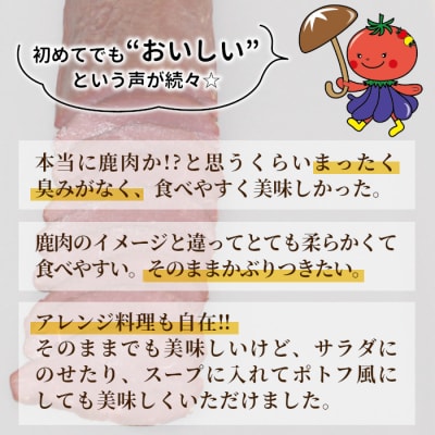 【訳あり】国産 鹿肉ロースハム 計200g(約1~2本) 鹿 シカ肉 ハム ロースハム ジビエ料理