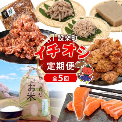 《全5回 定期便》設楽町 イチオシ定期便 お肉 サーモン お米 こんにゃく カルビ 唐揚げ 牛肉 肉