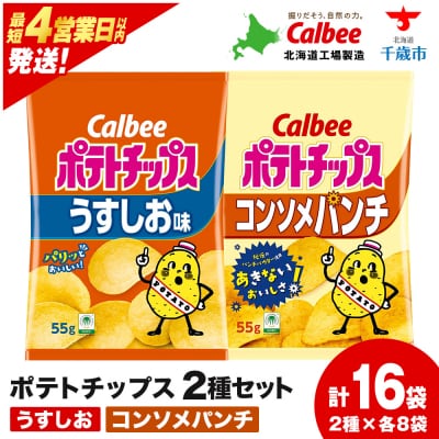 カルビーポテトチップス 2種セット うすしお・コンソメパンチ 各8袋 《北海道工場製造》