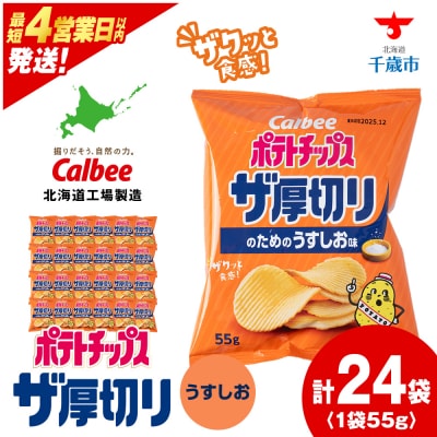 ポテトチップスザ厚切りのための うすしお味 55g 24袋 2箱