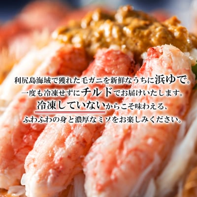 【2025年発送受付】チルドでお届け!浜ゆで毛ガニ特大2尾(1尾約700g～800g) 福士水産