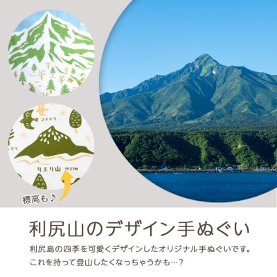 ☆利尻山デザイン☆手ぬぐい(グレー・グリーン・オレンジ)合計3枚