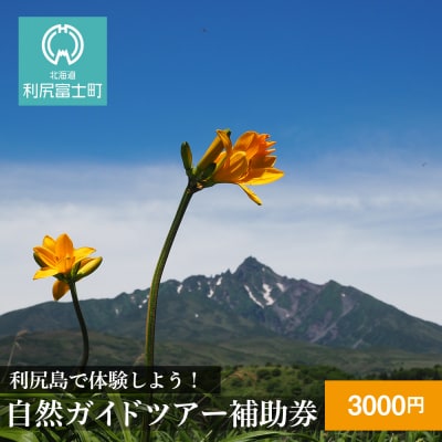 利尻島で体験しよう!自然ガイドツアー補助券(3000円)
