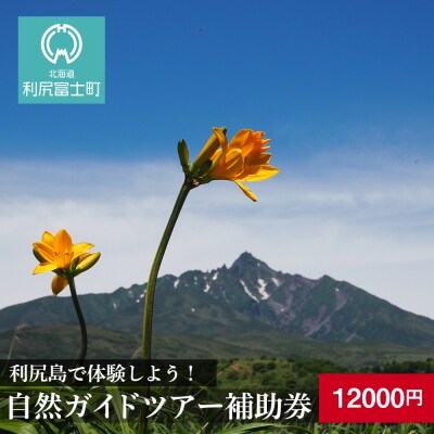 利尻島で体験しよう!自然ガイドツアー補助券(12000円)