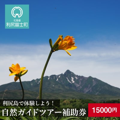 Kő̌悤!RKChcA[⏕(15000~)