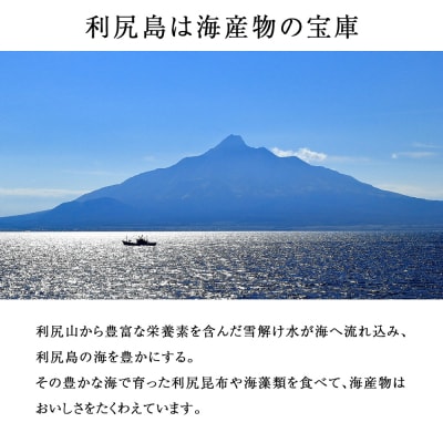 利尻島産 開きニシン5枚＜利尻漁業協同組合＞