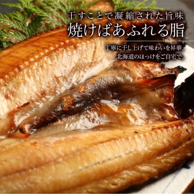 〈利尻漁業協同組合〉利尻島産 開きほっけ 10枚