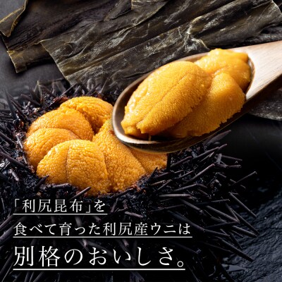 【2025年発送受付】★直送 「利尻島産 塩水ムラサキウニ1パック」7月発送【利尻漁組】