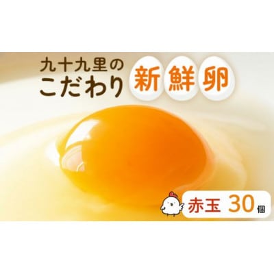 九十九里ファームこだわりたまご贈答用30個～あおい海・みどりの里～《赤玉》　C-2