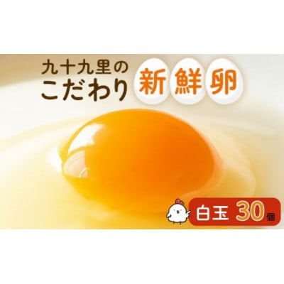 九十九里ファームこだわりたまご贈答用30個～あおい海・みどりの里～《白玉》　C-9