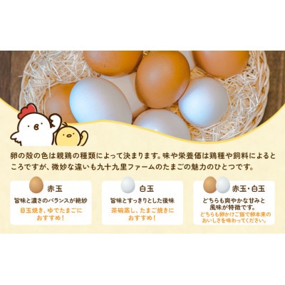 九十九里ファームこだわりたまご贈答用30個～あおい海・みどりの里～《白玉》　C-9